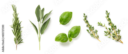Fotografiet fresh mediterranean herbs isolated over a transparent background rosemary, sage,
