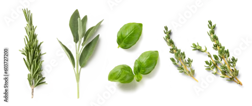 Panel kuchenny z motywem fresh mediterranean herbs isolated over a transparent background rosemary, sage, basil and thyme, farm fresh food and healthy diet herbal design elements, PNG