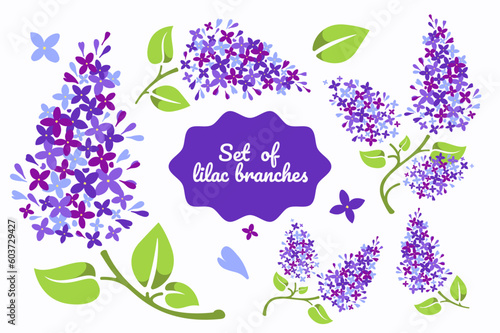 Set of beautiful lilac branches in vector. Flat style. 