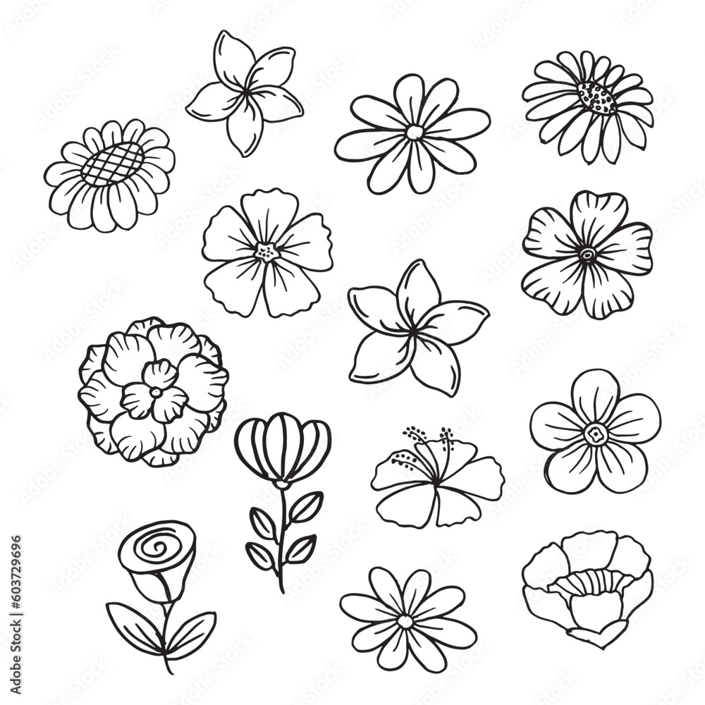 Set of hand drawn flower vector