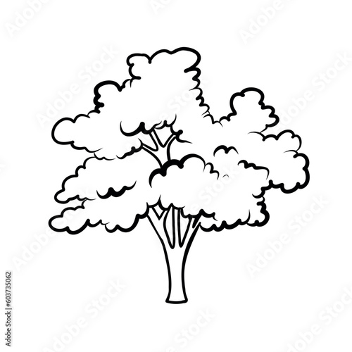 Vector hand drawn outline tree illustration Natural tree sketch Outline tree Black and White Natural Landscape Doodle style cartoon tree with grass illustration Organic plant with old wooden trunk