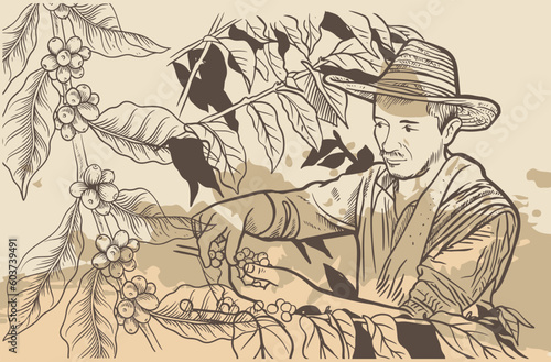coffee farmer of ink sketch etching for label, packaging, poster. Coffee picker of drawing on vintage paper. arabica coffee of sketch drawing vintage for art print.