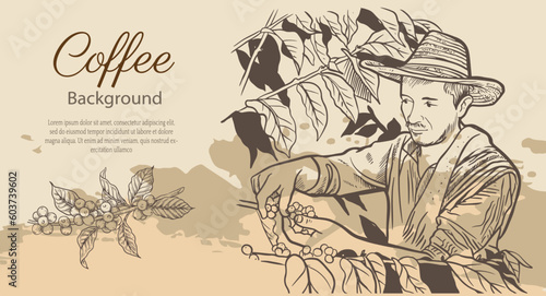 coffee farmer of ink sketch etching for label, packaging, poster. Coffee picker of drawing on vintage paper. arabica coffee of sketch drawing vintage for art print.