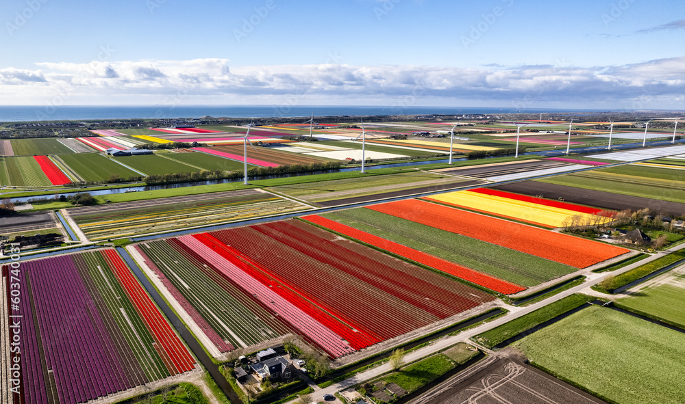 The Tulip Barn on the sky view ,Netherland 