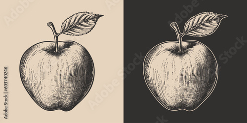 Set of vintage retro woodcut linocut engraving gravure sketch apple. Can be used like emblem, logo. mark, poster or print. Monochrome Graphic Art. Vector. Hand drawn element in antique