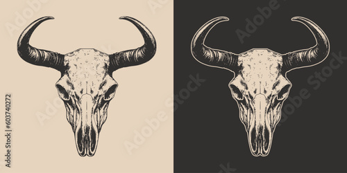 Set of vintage retro scary spooky cow bull skull head skeleton. Cowboy Native American. Can be used like emblem, logo, badge, label. mark, poster or print. Vector. Hand drawn element in engraving