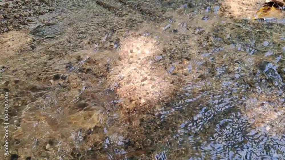 A clean stream flowing from the mountains can be a natural attraction.