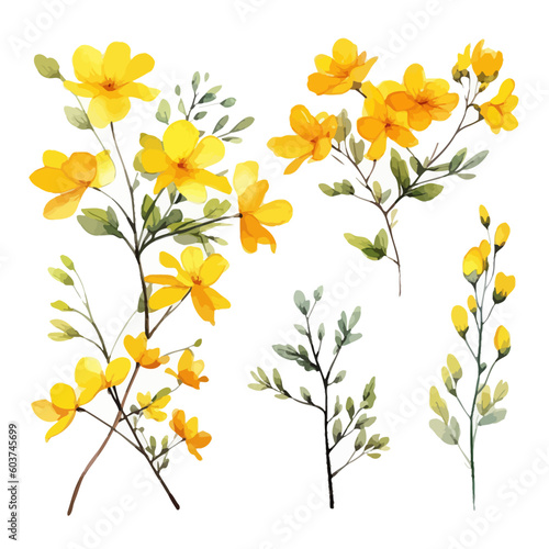 Set of yellow floral watecolor. flowers and leaves. Floral poster, invitation floral. Vector arrangements for greeting card or invitation design