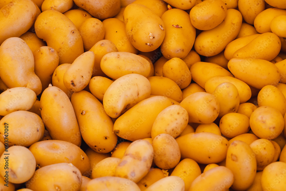 Heap of fresh tasty potatoes in grocery store Heap of fresh tasty potatoes in grocery store