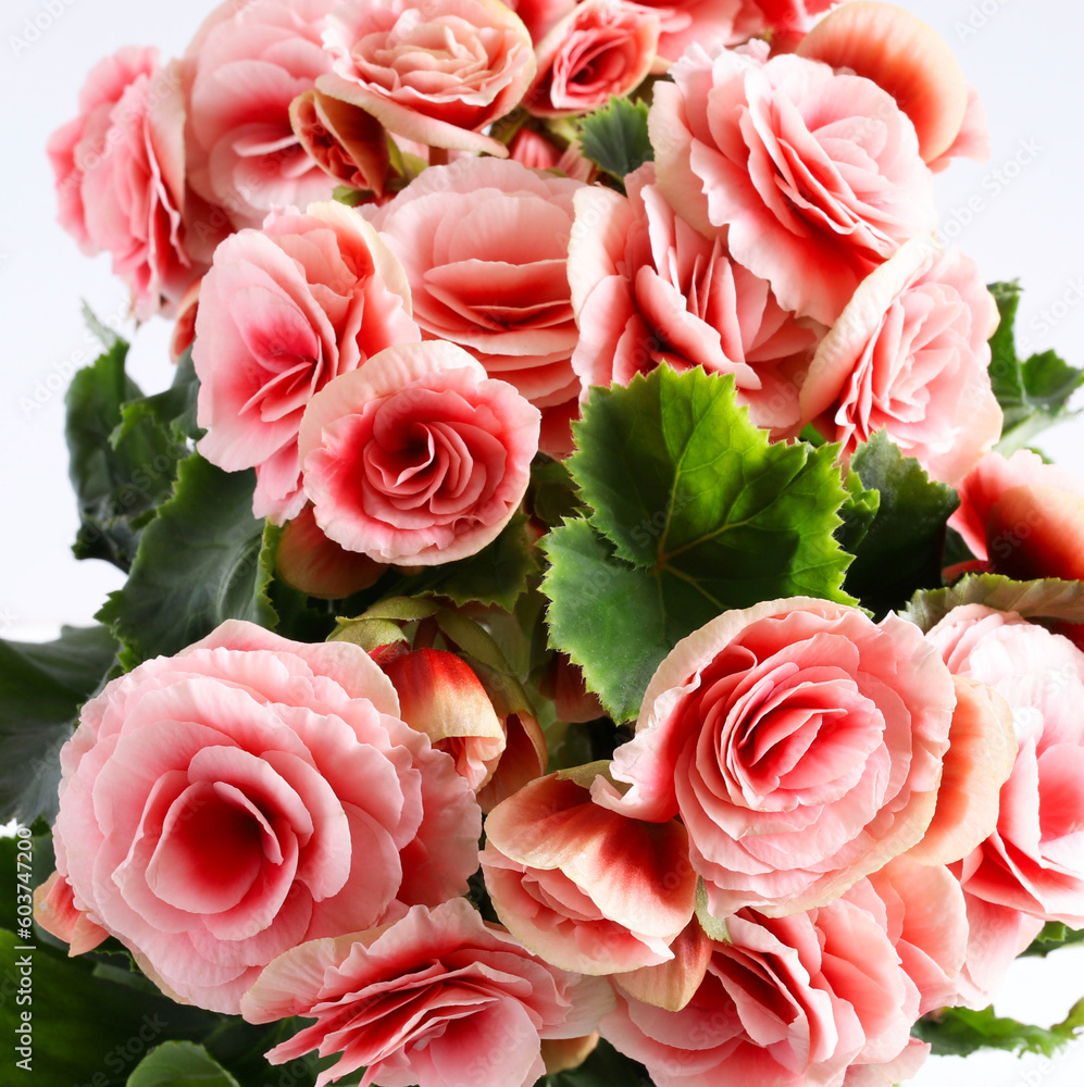 Occasioni Da Rete Con Il Contagocce E 0-0 Inevitabile - Foto 4