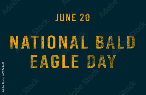 Happy National Bald Eagle Day, June 20. Calendar of June Text Effect, design