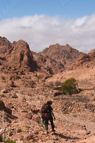 The Holy Land, St. Catherine, Sinai, Egypt