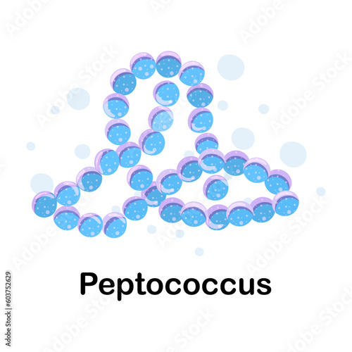 Peptococcus. Microorganisms. Medicine and health. Cartoon. Microbiota. Microbiome. Vector stock illustration. Isolated.Bacteria in the body.