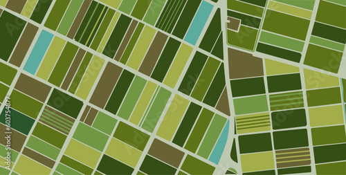 aerial top view Land with green fields sown in countryside in spring day Land with cultivated plants of rice fields