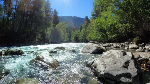slo-mo mountain forest river with clear water at sunny summertime - loop video