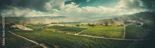 Aerial View of Vineyard in Valley with Clouds. Generative AI © Alex