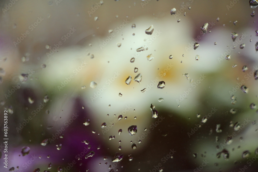 Gouttes d'eau a travers la fenêtre un jour de pluie Gouttes d'eau a travers la fenêtre un jour de pluie