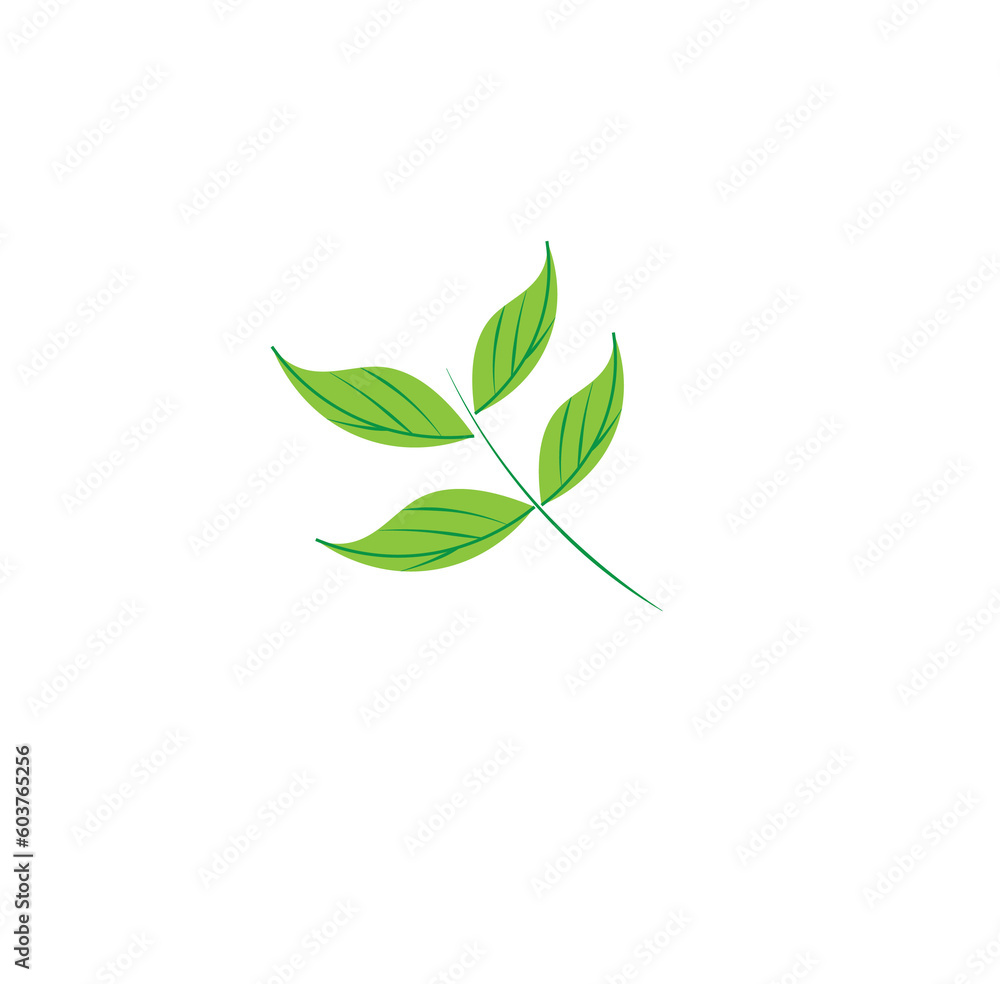 Natural leaf logo or illustration or flat logo Natural leaf logo or illustration or flat logo