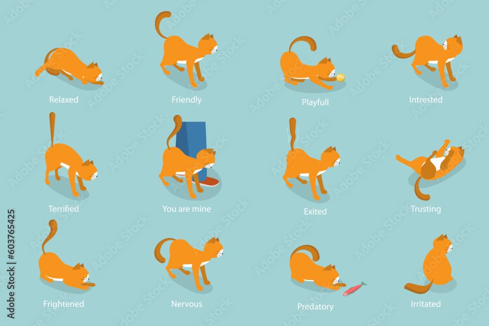 3D Isometric Flat Vector Set of Cats Behavior Poses, Kitty Reactions 3D Isometric Flat Vector Set of Cats Behavior Poses, Kitty Reactions