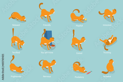3D Isometric Flat Vector Set of Cats Behavior Poses, Kitty Reactions