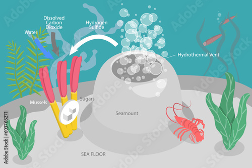 3D Isometric Flat Vector Conceptual Illustration of Chemosynthesis, Hydrothermal Vent photo