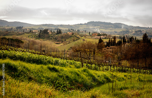 Tuscany vineyard landscape at spring.