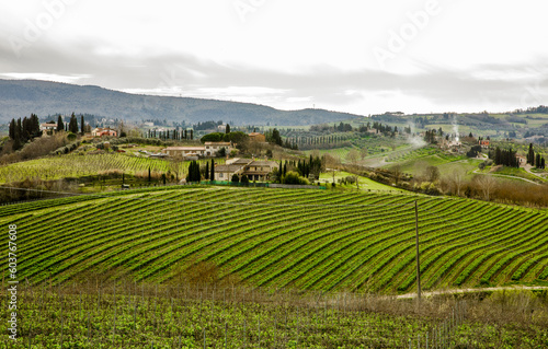 Fototapeta Naklejka Na Ścianę i Meble -  Tuscany vineyard landscape at spring.