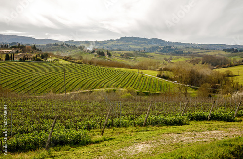 Wallpaper Mural Tuscany vineyard landscape at spring. Torontodigital.ca