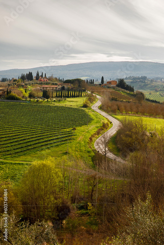 The beautiful road through green hills of Tuscany, Italy.