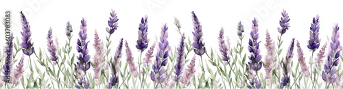 Seamless border of tender watercolor lavender flowers border on transparent background  AI generated