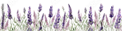 Wallpaper Mural Seamless border of tender watercolor lavender flowers border on transparent background, AI generated Torontodigital.ca