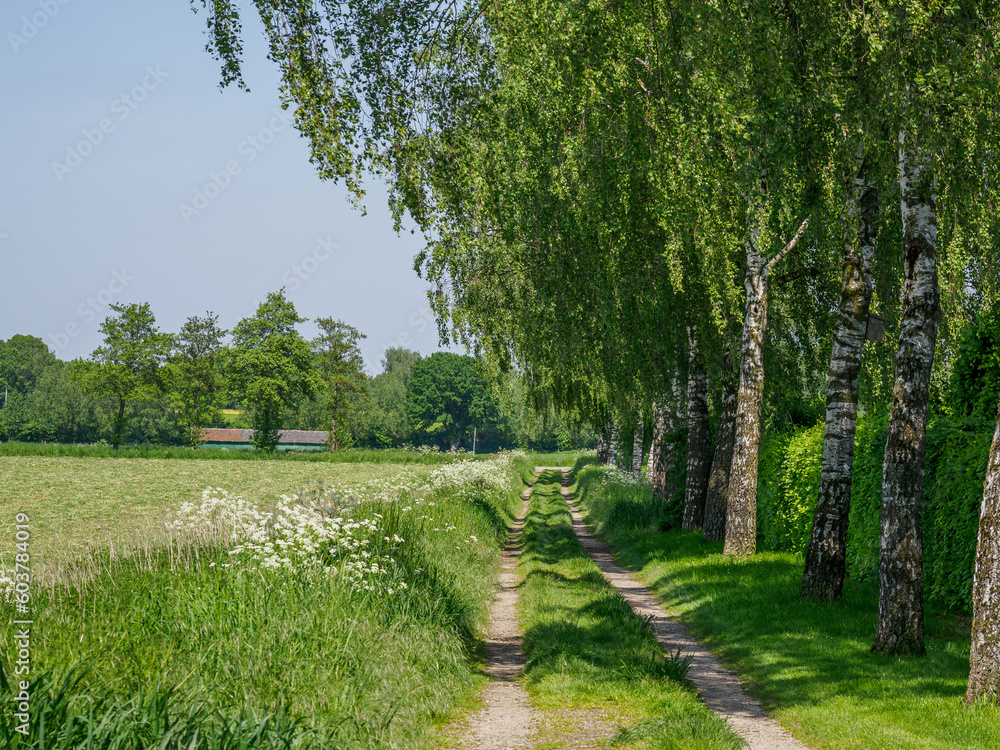 Obraz premium Frühling im Münsterland