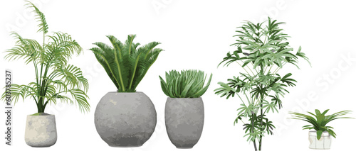 Beautiful collection of Plant Cut-Outs, Greenery Without Limits, 3D rendering, for illustration, digital composition and architecture visualization