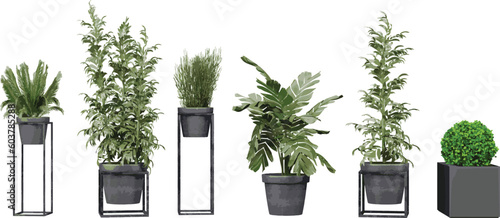 Beautiful plants in ceramic pots isolated on transparent background for digital composition, illustration, architecture visualization