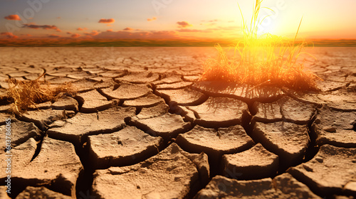 Drought landscape with dry plants and cracked soil due to water scarcity. Climate change and lack of rain. Generative ai.