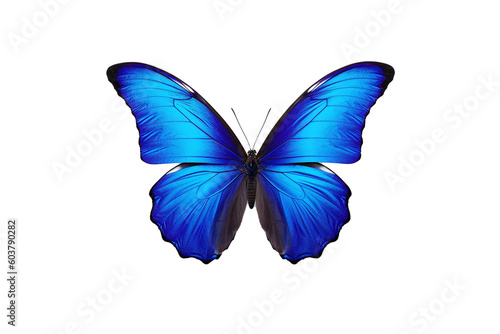 Graceful Flutter: Butterfly on Transparent Background. Generative AI © Kordiush
