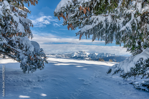 Panorama sur les Alpes