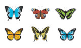 Set of vector colorful butterflies. Butterflies insects on white background.