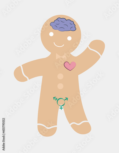 Genderbread person, gingerbread man, vector illustration