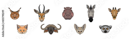 Wild African and South Living Animal Snout and Muzzle with Horns and Fur Vector Set