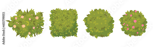 Green Bushes and Shaped Shrubs as Decorative Park Flora Vector Set