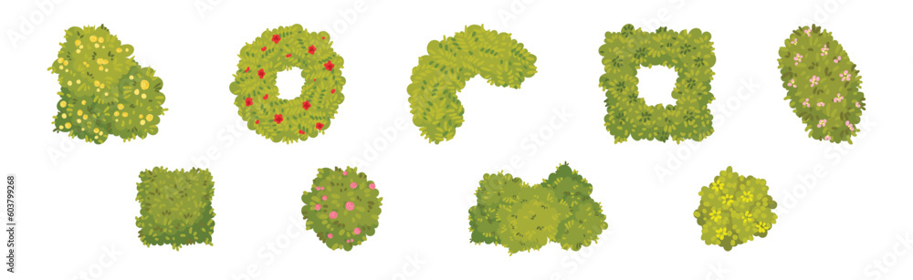 Green Bushes and Shaped Shrubs as Decorative Park Flora Vector Set