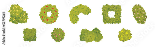 Green Bushes and Shaped Shrubs as Decorative Park Flora Vector Set