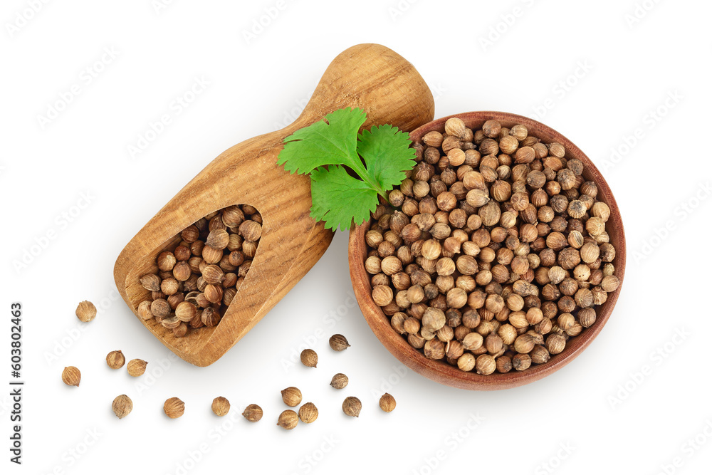 Dried coriander seeds in the wooden bowl with fresh green leaf isolated on white background. Top view. Flat lay Dried coriander seeds in the wooden bowl with fresh green leaf isolated on white background. Top view. Flat lay