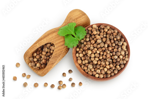 Dried coriander seeds in the wooden bowl with fresh green leaf isolated on white background. Top view. Flat lay
