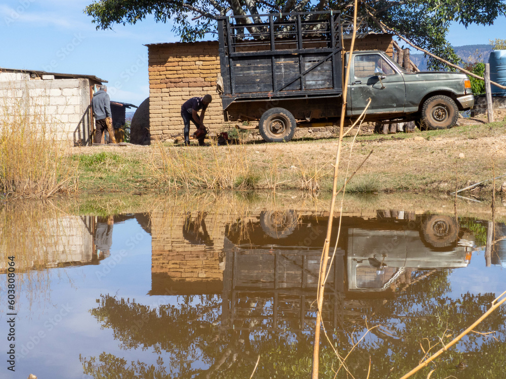 Fototapeta premium Personas trabajando, camioneta reflejo en el agua, casa de campo