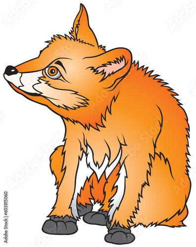 Fox 2 - coloured cartoon illustration as vector - Fox Cub