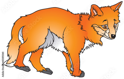 Fox 8 - coloured cartoon illustration as vector - Young Fox