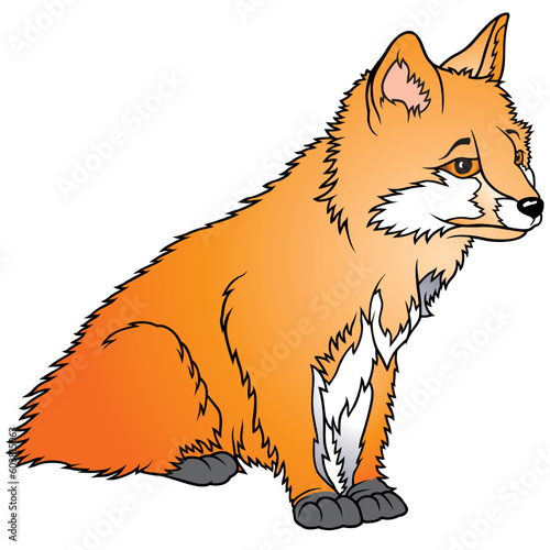 Fox 7 - coloured cartoon illustration as vector - Sitting Fox Cub