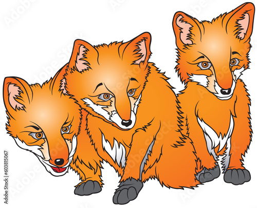 Three Foxes - coloured cartoon illustration as vector